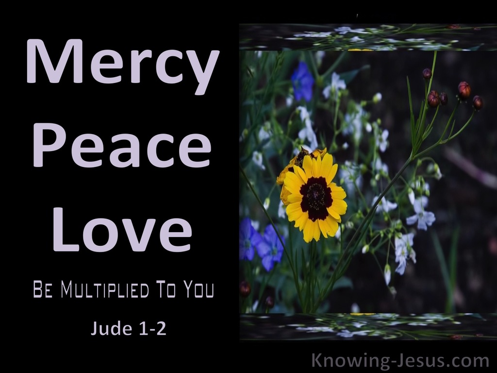 Jude 1:2 Mercy Peace And Love Be Multiplied (black)